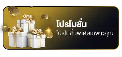 โปรโมชั่นพิเศษ